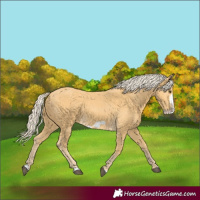 Horse Color:Palomino Frame 
