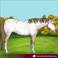 Horse Color:Liver Red Roan Pearl Frame Blanket 