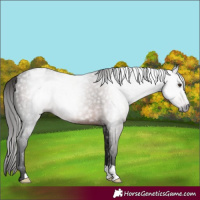 Horse Color:Gray Liver Chestnut Varnish 