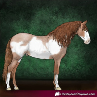 Horse Color:Brown Roan Pearl Frame 