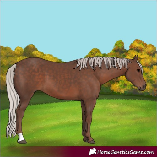 Horse Color:Silver Black 