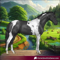 Horse Color:Black Tobiano