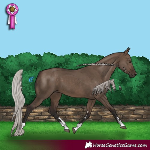 Horse Color:Silver Brown Dun 