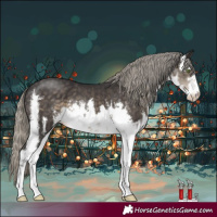 Horse Color:White Spotted Silver Smoky Black