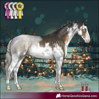 Horse Color:White Spotted Silver Smoky Black