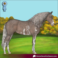 Horse Color:Silver Black Sabino 