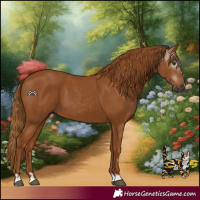 Horse Color:Gray Chestnut 
