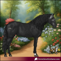 Horse Color:Gray Black 