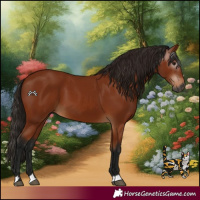 Horse Color:Gray Bay 