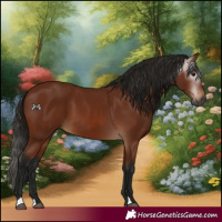 Horse Color:Gray Bay 