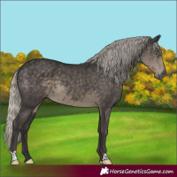 Horse Color:Silver Smoky Black 