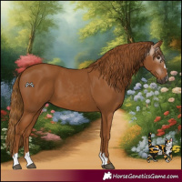 Horse Color:Gray Chestnut 