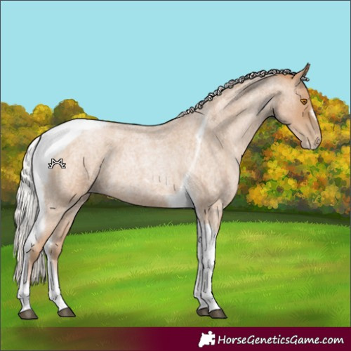 Horse Color:Silver Blue Roan Pearl Tobiano Frame 