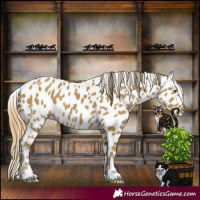 Horse Color:Classic Cream Champagne Appaloosa 