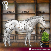 Horse Color:Silver Smoky Black Sabino Appaloosa