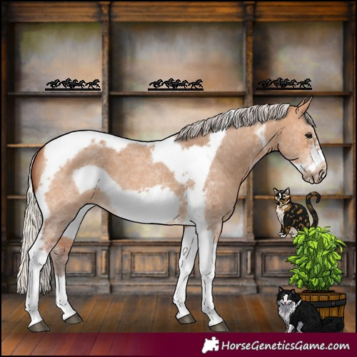 Horse Color:Silver Bay Dun Sabino Tobiano Frame Rabicano 