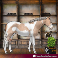 Horse Color:Silver Bay Dun Sabino Tobiano Frame Rabicano 