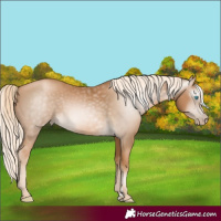 Horse Color:Gray Palomino Pearl 