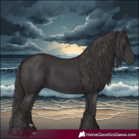 Horse Color:Smoky Black 