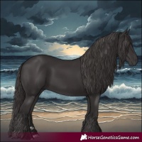 Horse Color:Smoky Black 