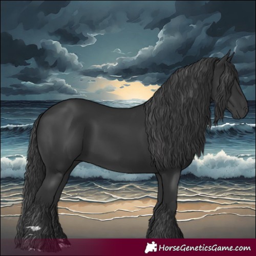 Horse Color:Black 