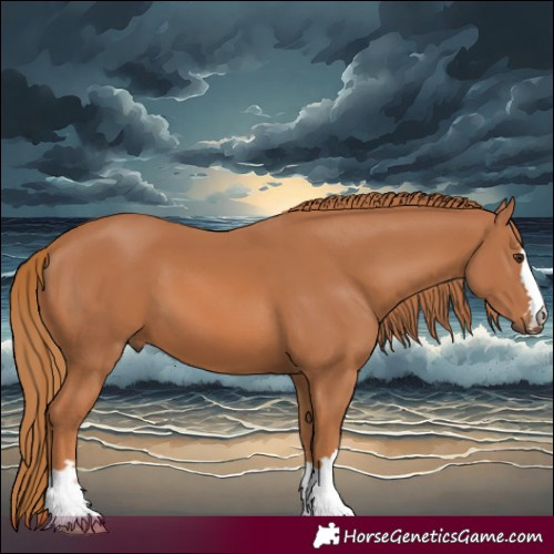 Horse Color:Chestnut 
