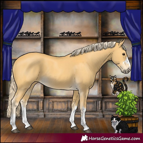 Horse Color:Palomino 