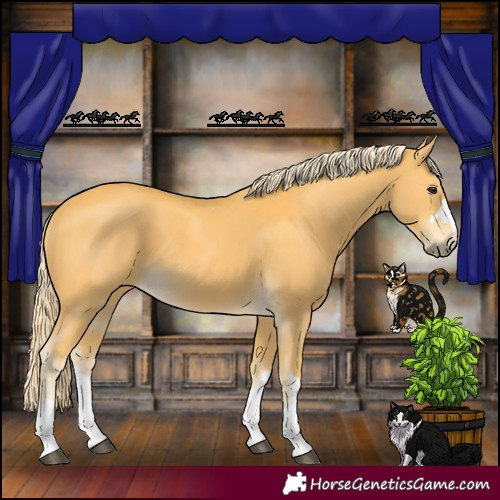 Horse Color:Palomino 