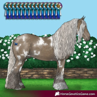 Horse Color:White Spotted Silver Smoky Black 