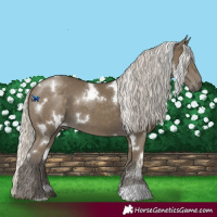 Horse Color:White Spotted Silver Smoky Black 