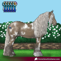 Horse Color:White Spotted Silver Smoky Black 