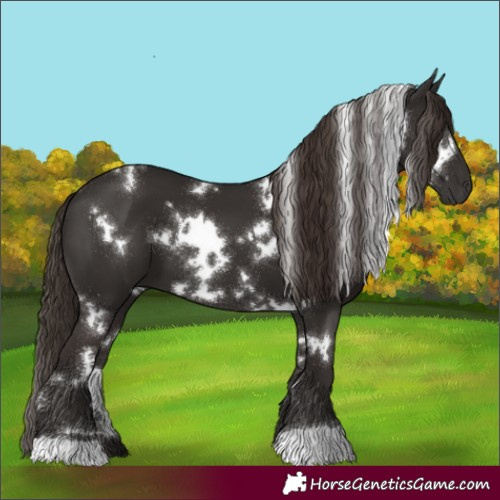 Horse Color:White Spotted Liver Chestnut 