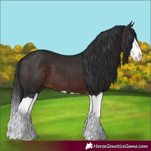 Horse Color:Brown Splash 