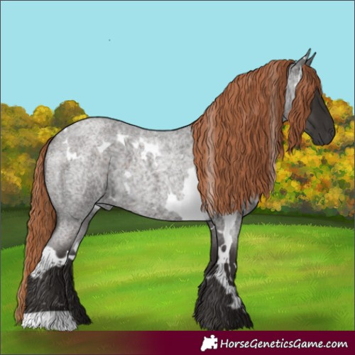 Horse Color:White Spotted Liver Red Roan 