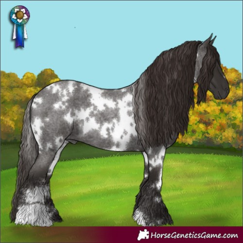 Horse Color:White Spotted Liver Red Roan 