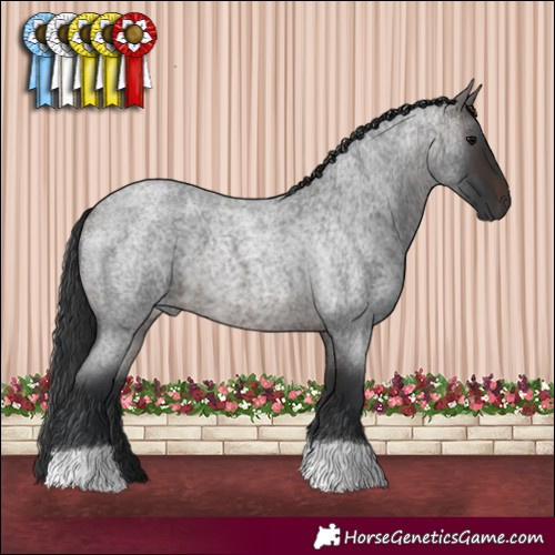 Horse Color:Brown Roan 