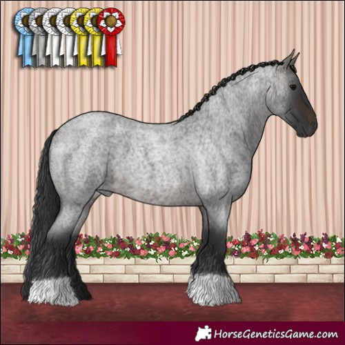Horse Color:Brown Roan 