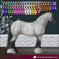 Horse Color:Brown Roan 