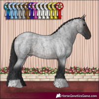 Horse Color:Brown Roan