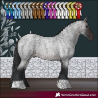 Horse Color:Brown Roan 