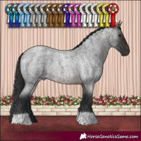 Horse Color:Brown Roan 