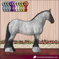 Horse Color:Brown Roan