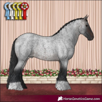Horse Color:Brown Roan 