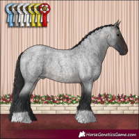 Horse Color:Brown Roan 
