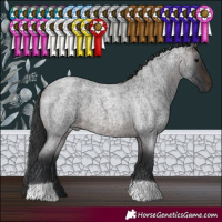 Horse Color:Brown Roan 