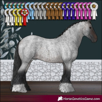 Horse Color:Brown Roan
