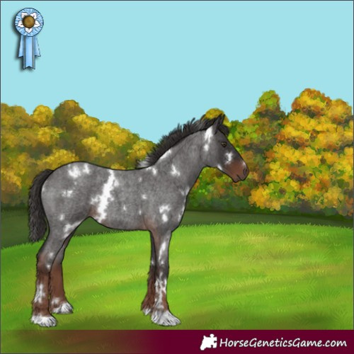 Horse Color:White Spotted Liver Red Roan