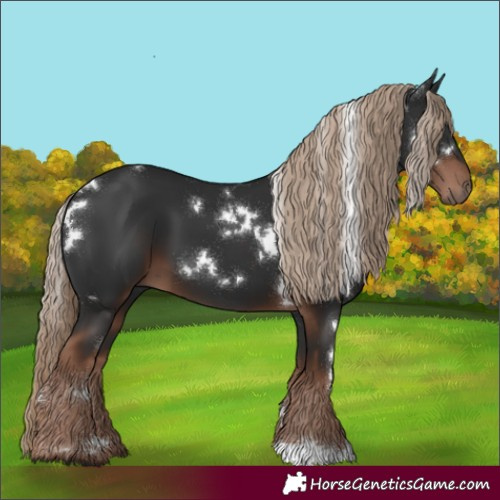 Horse Color:White Spotted Liver Chestnut