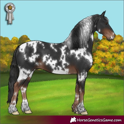 Horse Color:White Spotted Liver Chestnut 