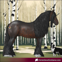 Horse Color:Brown 